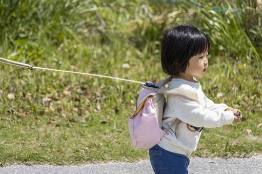 子どもハーネスは「命綱」、専門家が支持する理由